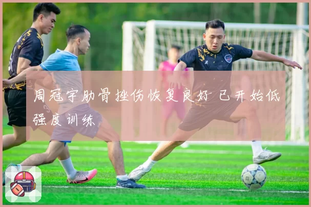 周冠宇肋骨挫伤恢复良好 已开始低强度训练
